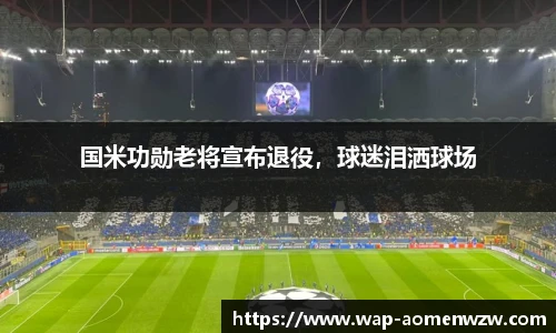 国米功勋老将宣布退役,球迷泪洒球场