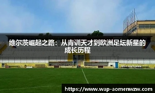 王中王官网资料